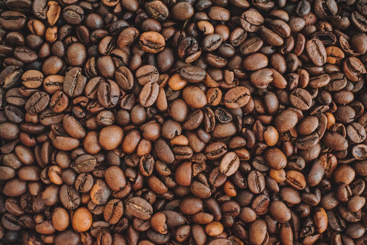 Best Light Roast Espresso Beans (2026): 4 Picks Worth Trying